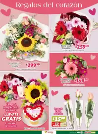 Catálogo Soriana Súper semana 7 Página 2