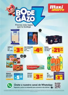 Catálogo MaxiAhorro (válido hasta 15-02)