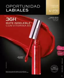 Catálogo L'Bel Página 31