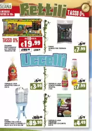 Volantino Zoomiguana Pagina 9