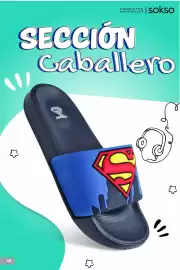 Catálogo Sokso Página 42