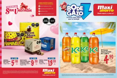 Catálogo MaxiAhorro Página 1