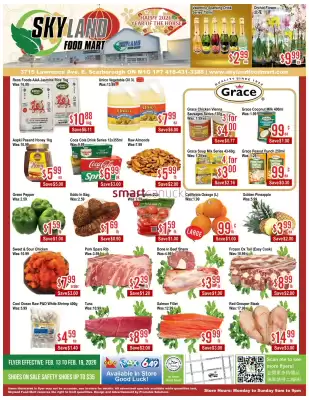 Skyland Foodmart flyer (valid until 19-02)