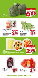 PLUS folder week 8 Pagina 7