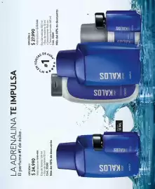 Catálogo Ésika Página 137