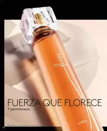 Catálogo Ésika Página 28