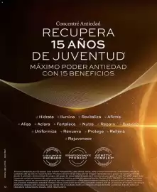 Catálogo L'bel Página 12