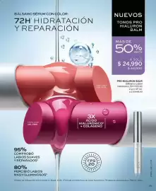 Catálogo L'bel Página 29