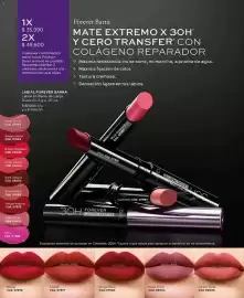 Catálogo L'bel Página 34