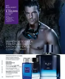 Catálogo L'bel Página 88