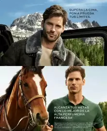 Catálogo L'bel Página 90