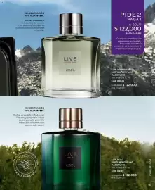 Catálogo L'bel Página 91