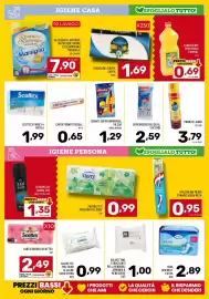 Volantino Il Centesimo Pagina 13