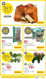 Praxis folder Pagina 44