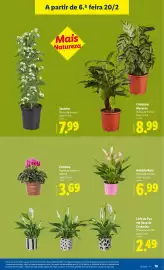 Folheto Lidl | Novidades Página 19