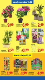 Lidl folder week 8 Pagina 15