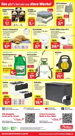 Thomas Philipps Prospekt woche 8 Seite 14