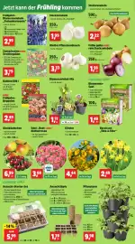 Thomas Philipps Prospekt woche 8 Seite 2