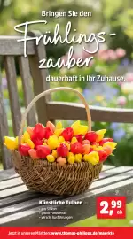 Thomas Philipps Prospekt woche 8 Seite 5