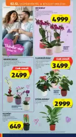 ALDI akciós újság Oldal 6