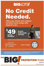 Big Lots weekly ad week 7 Page 4