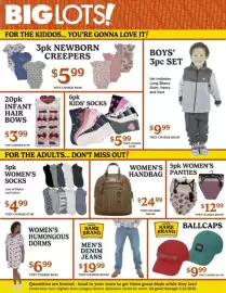 Big Lots weekly ad week 7 Page 3