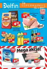 Delfin gazetka Strona 1