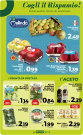 Volantino Ipercoop Radenza Pagina 26