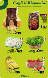 Volantino Ipercoop Radenza Pagina 27