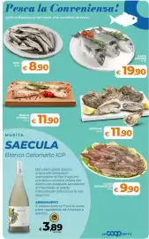 Volantino Ipercoop Radenza Pagina 28