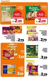 Volantino Ipercoop Radenza Pagina 29