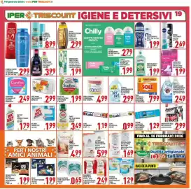Volantino Iper Triscount Pagina 19