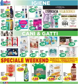 Volantino Il Castoro Supermercati Pagina 19