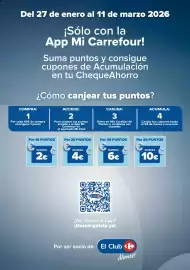 Folleto Carrefour Página 3