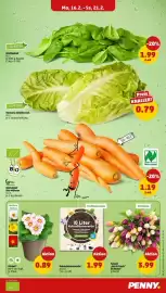 PENNY Prospekt woche 8 Seite 5