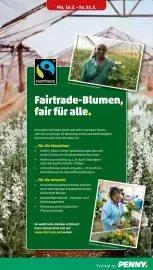 PENNY Prospekt woche 8 Seite 7