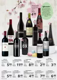 Selgros Prospekt Seite 21