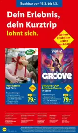 Lidl Reisen Prospekt Seite 2