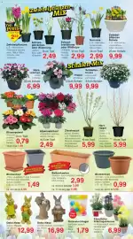 Jawoll Prospekt woche 8 Seite 6