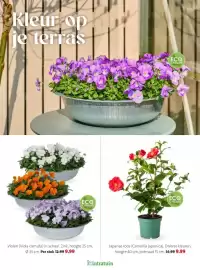 Intratuin folder week 8 Pagina 16