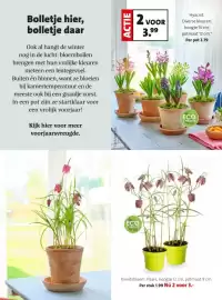 Intratuin folder week 8 Pagina 17