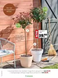 Intratuin folder week 8 Pagina 19