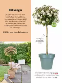 Intratuin folder week 8 Pagina 20