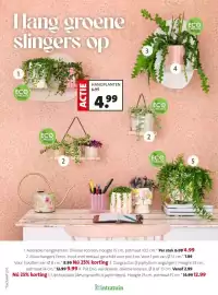 Intratuin folder week 8 Pagina 22