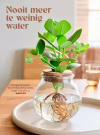 Intratuin folder week 8 Pagina 25