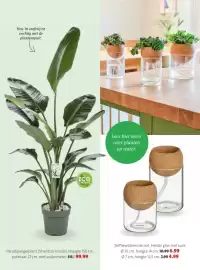 Intratuin folder week 8 Pagina 26