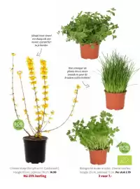 Intratuin folder week 8 Pagina 27