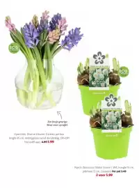 Intratuin folder week 8 Pagina 28