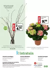 Intratuin folder week 8 Pagina 29