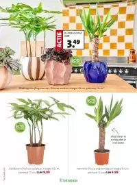 Intratuin folder week 8 Pagina 3